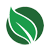 Leaf icon