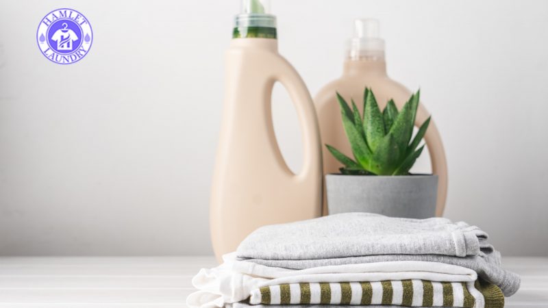How to Choose Eco-Friendly Laundry Detergent : A Simple Guide