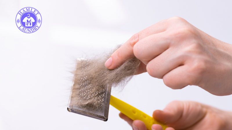 Removing Pet Hair From Clothing And Upholstery Effectively